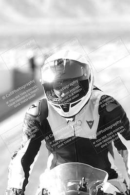 media/Feb-22-2025-2WTD (Sat) [[0e5b3c00f9]]/Around the Pits/
